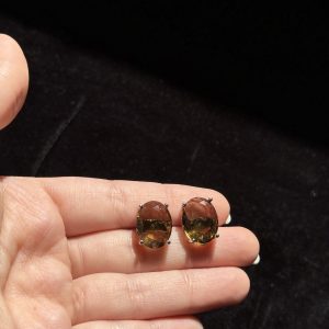 Oval shaped small studs champagne