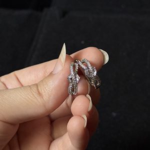 Sparkling Silver Crystal Hoop Earrings