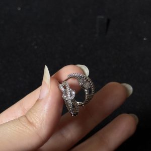 Sparkling Silver Crystal Hoop Earrings